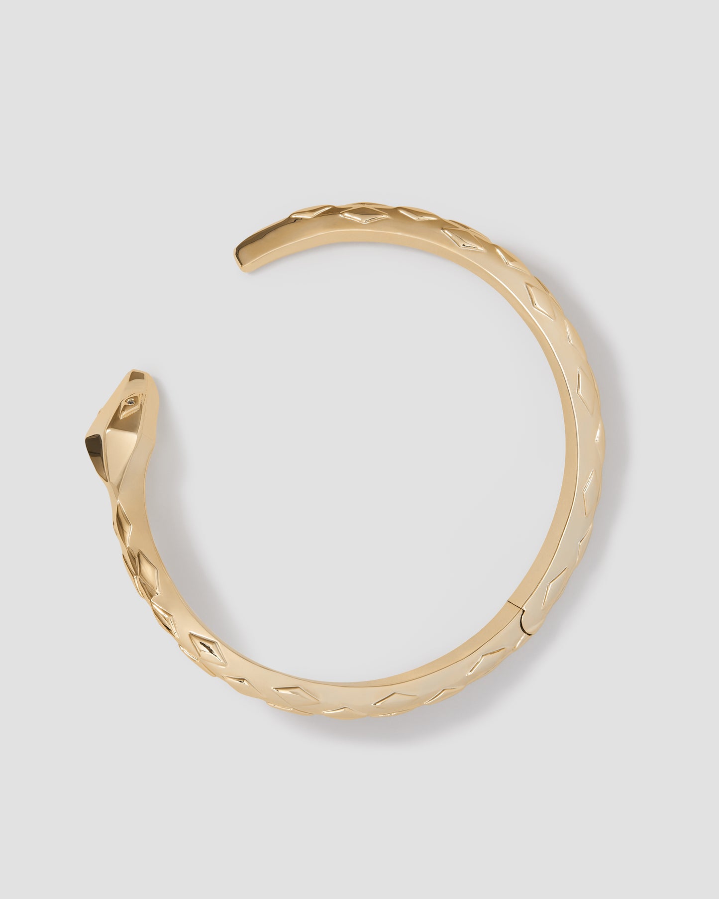 Snake Choker