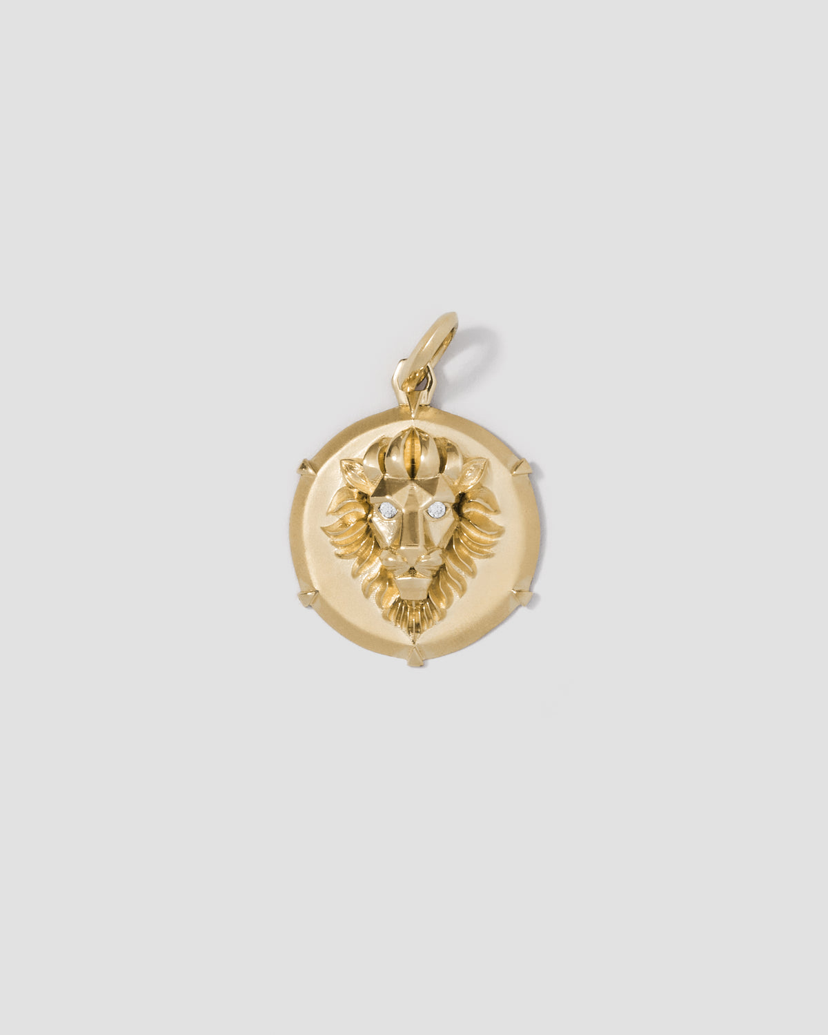 Lion Head Circle charm - front view | gold charm necklace