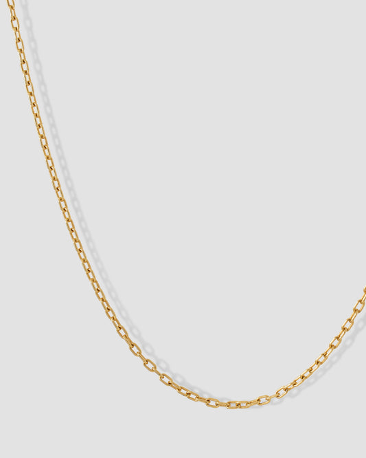 Large Round Link Chain in 14K Yellow Gold