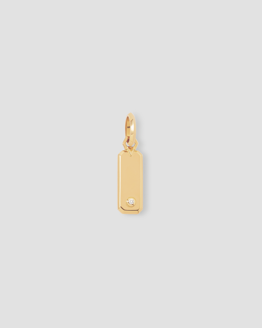 Small Dog Tag