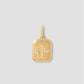 Zodiac Charm in 18K Yellow Gold