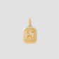 Zodiac Charm in 18K Yellow Gold