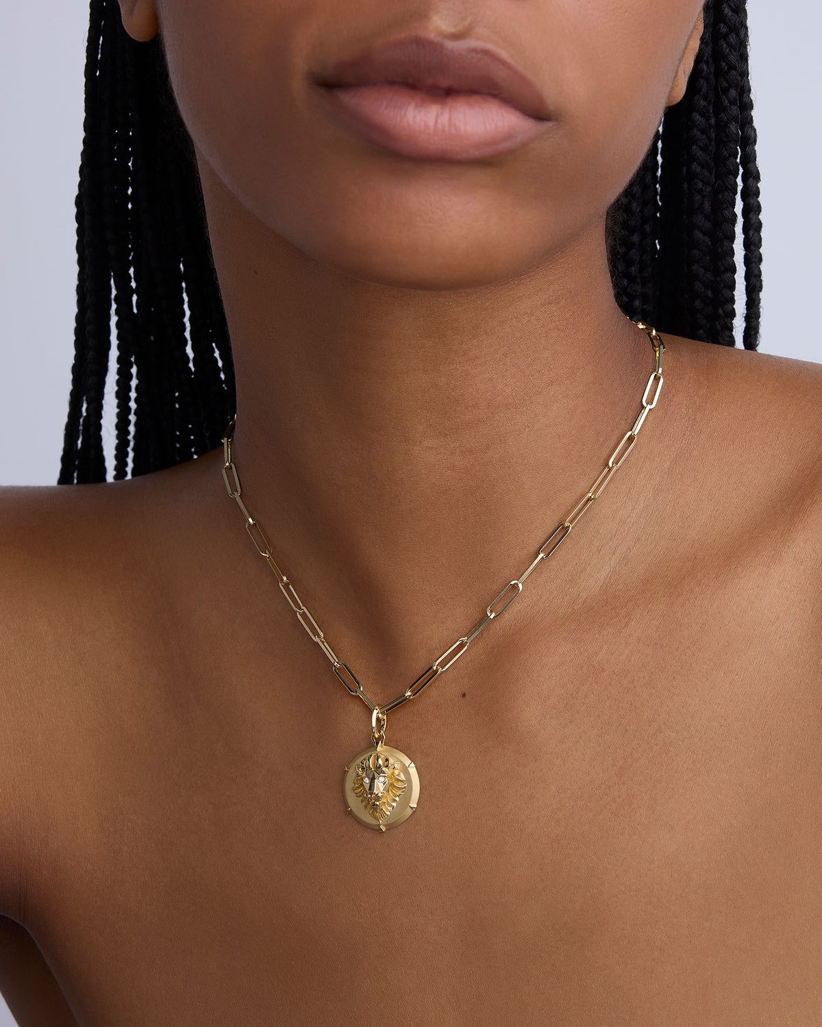 Lion Head Circle charm - close-up detail | gold charm necklace