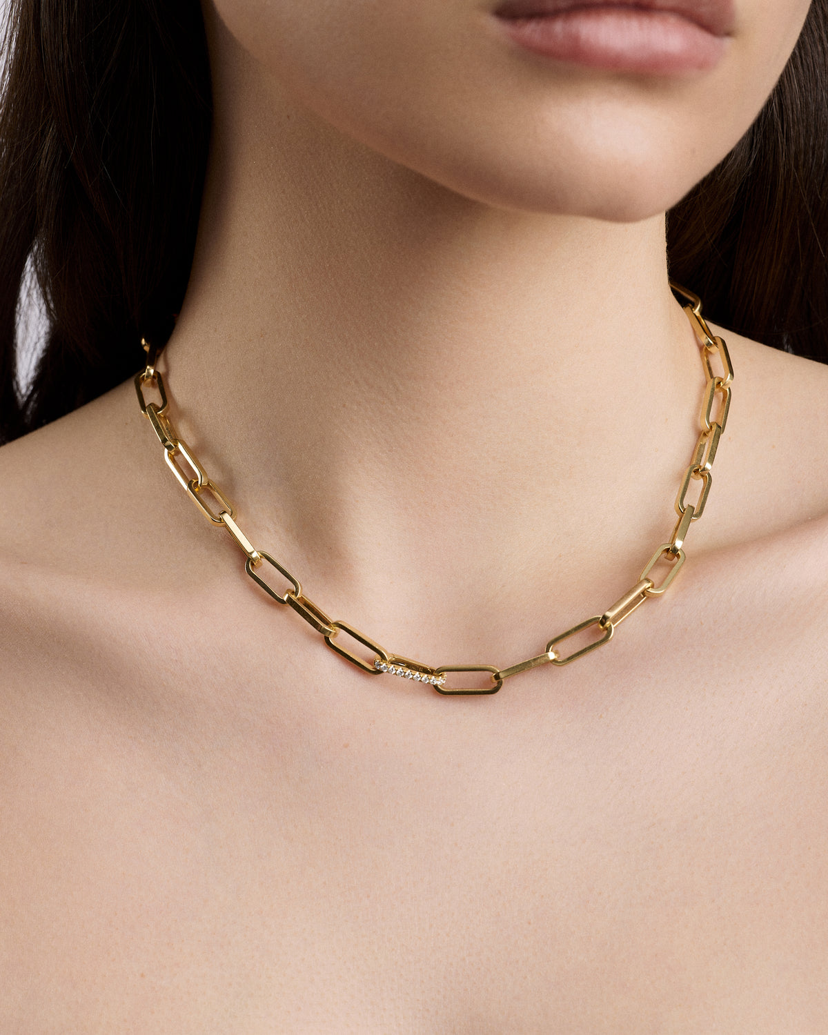 Fisher Link Charm Clasp necklace - product detail shot | gold charm necklace