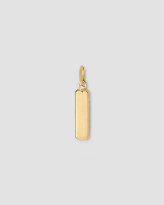 Large Dog Tag