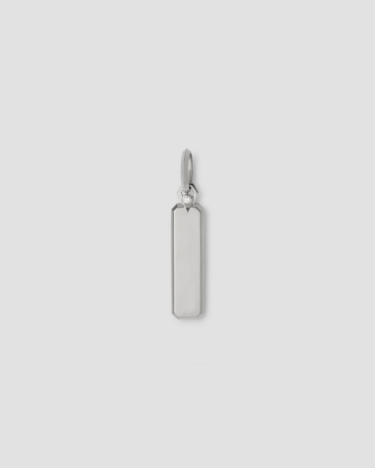 Large Dog Tag gold charm - alternate angle | necklace with charms