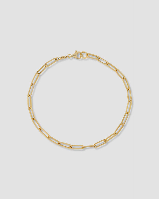 Long Link Chain Anklet