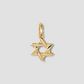 Gold star-shaped pendant on a light gray background