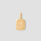 Zodiac Charm in 18K Yellow Gold