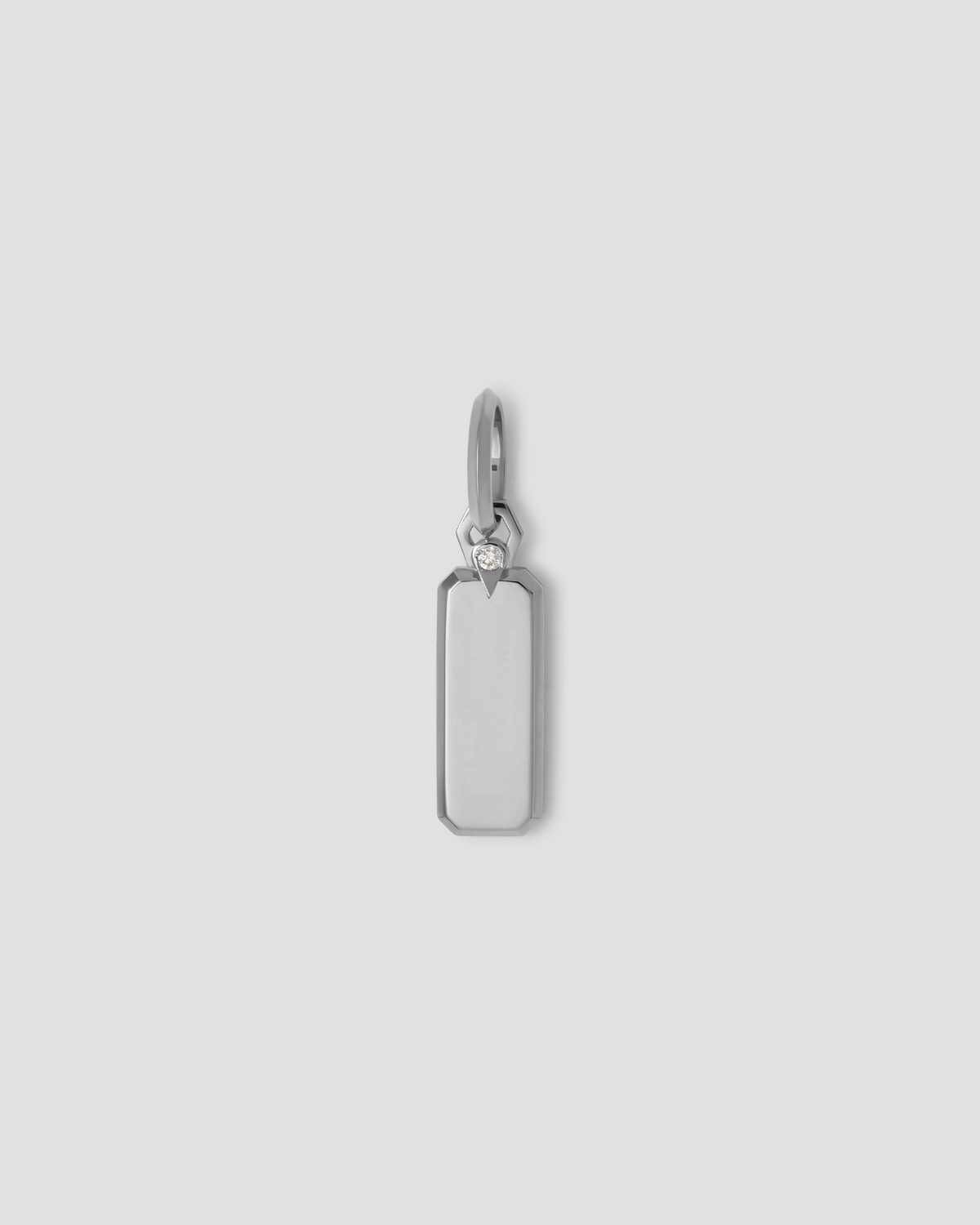 Small Dog Tag