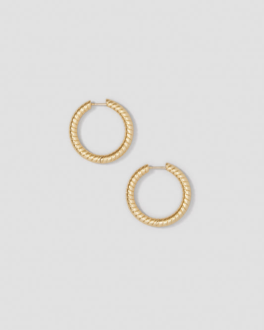 Gold hoop earrings on a light gray background